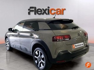 Citroën C4 Cactus PureTech 110 S&S Shine Pack