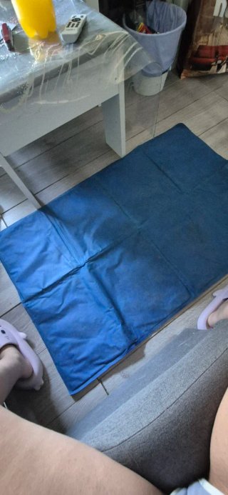 Cama refrescante para perros azul