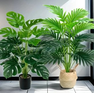 2 Plantas Artificiales
