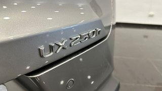Lexus UX PREMIUM 2WD
