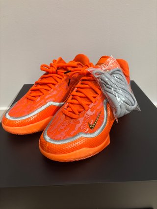 Bolsa para Zapatillas Nike LeBron XXIII