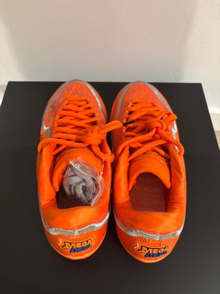 Bolsa para Zapatillas Nike LeBron XXIII