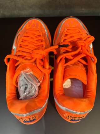 Bolsa para Zapatos Nike LeBron XXIII