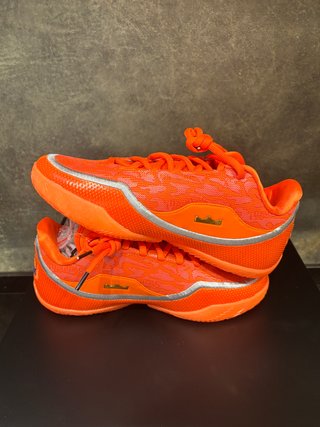 Bolsa para Zapatos Nike LeBron XXIII