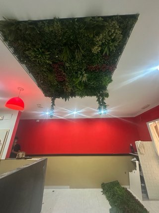 Muro de plantas artificiales