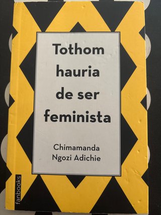 Tothom hauria de ser feminista
