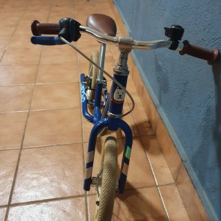 Bicicleta de equilibrio