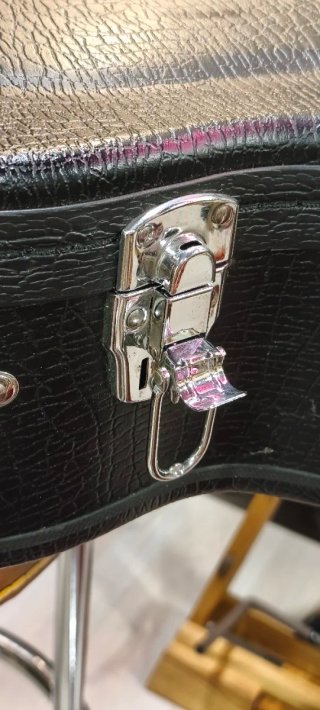 Estuche Taylor para Guitarra Acústica