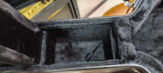 Estuche Taylor para Guitarra Acústica