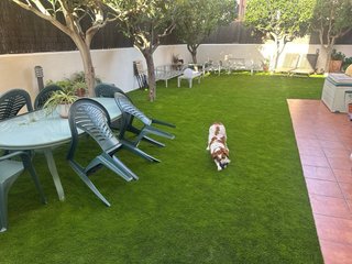 Mesa y 4 Sillas de Jardín