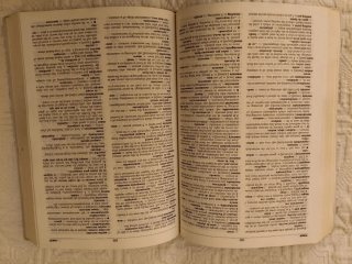 Diccionario semi bilingüe de Inglés -Español