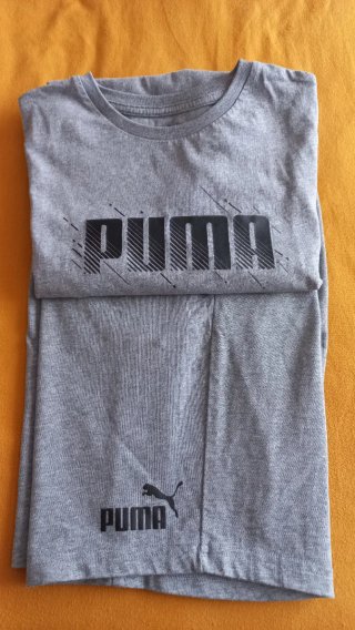 Conjunto Puma Camiseta y Pantalón Corto Gris