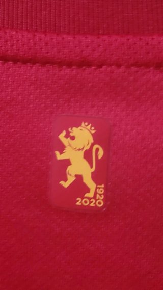Camiseta España Adidas 2020 Talla M