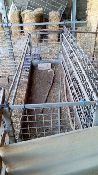 12 Pesebres + Vallas Corral