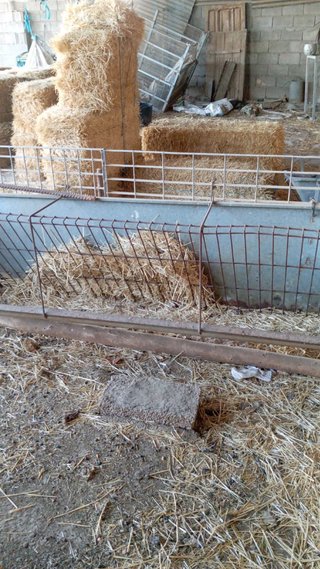 12 Pesebres + Vallas Corral