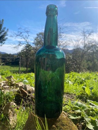 Botellas sidra antiguas (60s-70s)