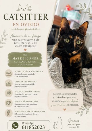Cuidadora gatos domicilio