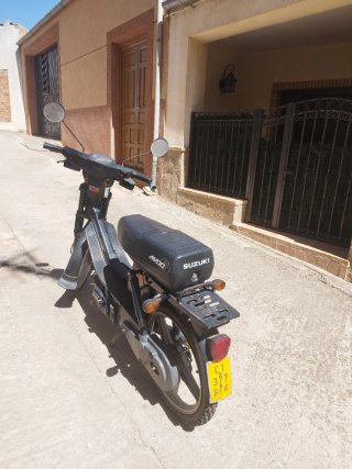 Suzuki Maxi Electric