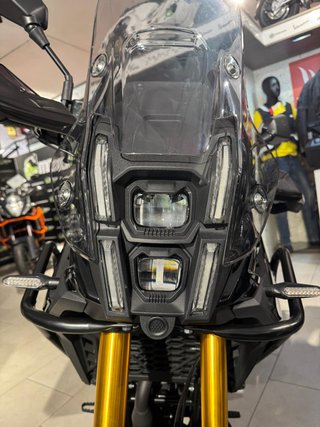 CYCLONE RX2