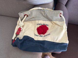 Pack bolsos y mochilas - varias marcas