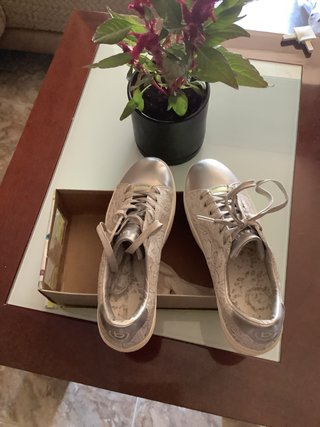 Botines Bugatti Plateados