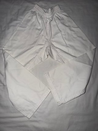 Protectores Fujimae Karate homologados