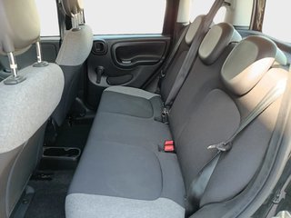 Panda - DESDE 171€/MES ¡SIN PAGAR ENTRADA!