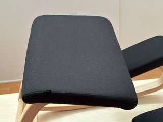 Silla Varier Variable