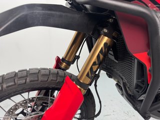 Ducati DesertX Rally 2024