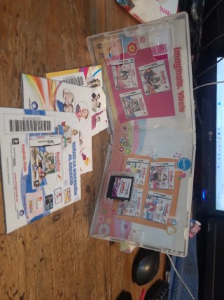 Nintendo DS Imagina ser Decoradora
