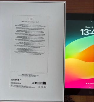 Apple iPad Plata