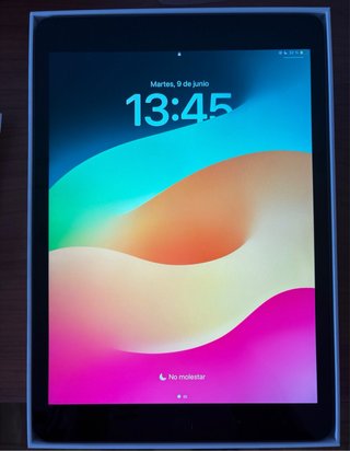 Apple iPad Plata