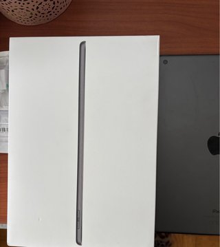 Apple iPad Plata