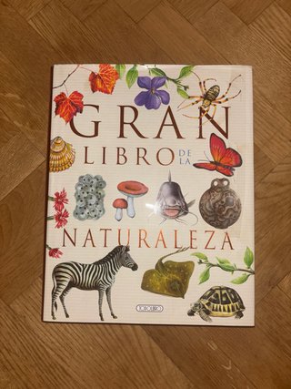 Gran libro de la historia