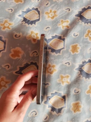iPhone 15 Pro Gris