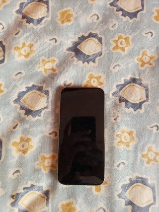 iPhone 15 Pro Gris