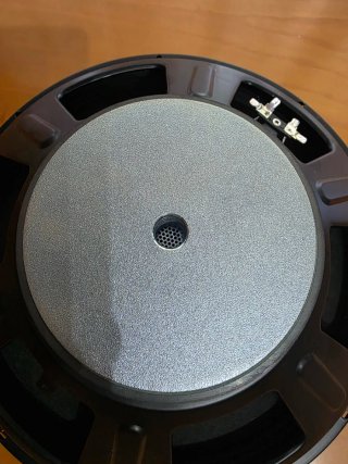 Altavoz 15 Pulgadas Negro