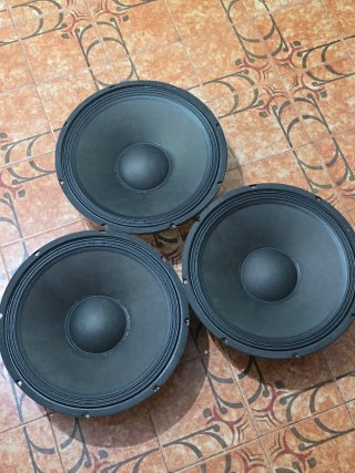 Altavoz 15 Pulgadas Negro
