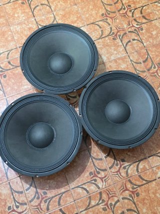 Altavoz 15 Pulgadas Negro