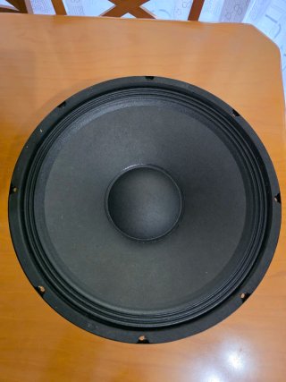 Altavoz 15 Pulgadas Negro