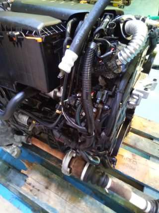 Motor 1.6 HDI 90CV 9HX 9H02 Completo