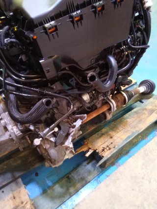 Motor 1.6 HDI 90CV 9HX 9H02 Completo