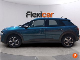 Citroën C4 Cactus PureTech 110 S&S C-Series