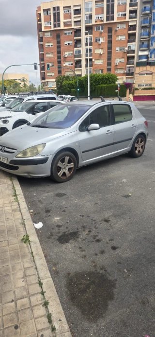 Peugeot 307 2003