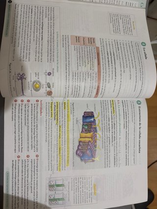 Biología, Geología y CC. Ambientales 1º Bachill...
