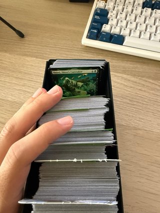 Lote +600 Cartas Magic The Gathering MTG (100€)
