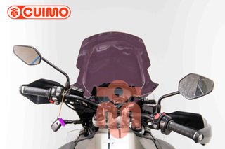 TRIUMPH TIGER 1200