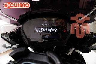 TRIUMPH TIGER 1200
