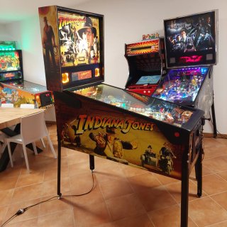 Flipper Indiana Jones Stern