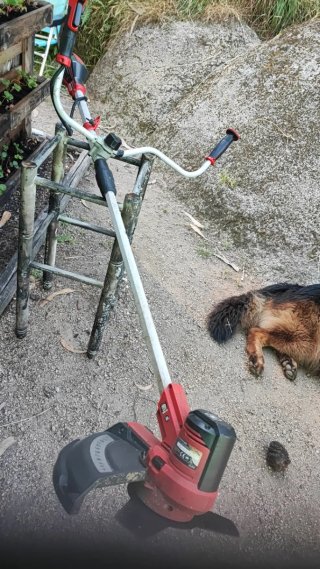 Desbrozadora Einhell batería
